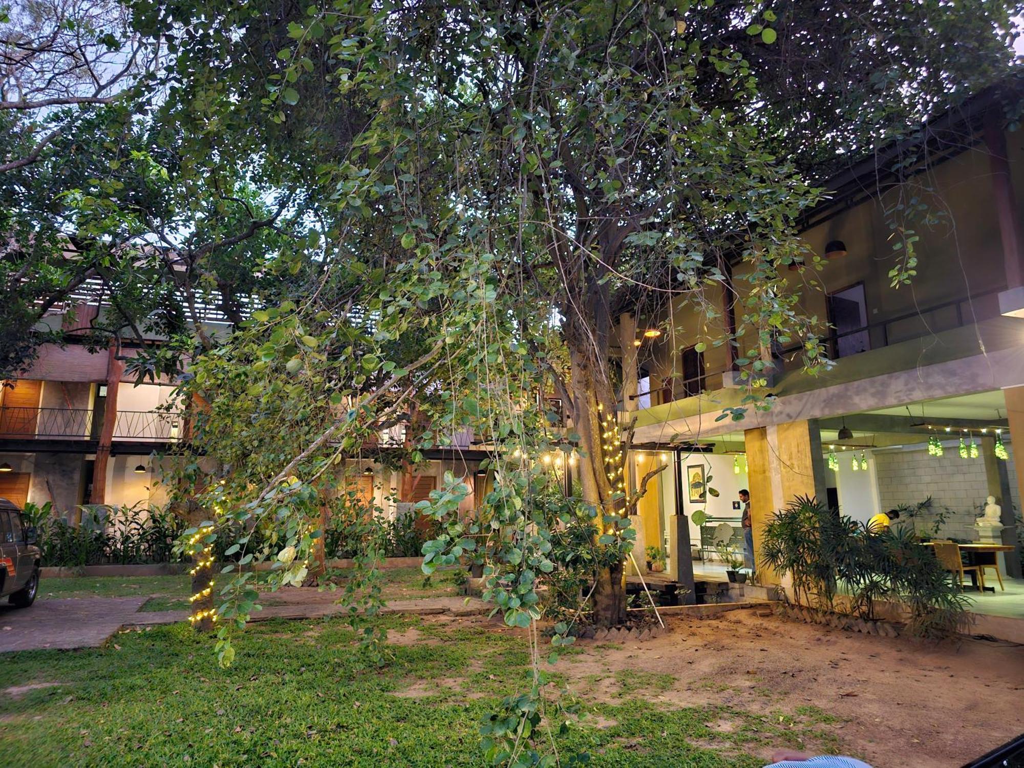 Royal Tusker Hotel Udawalawe Bagian luar foto